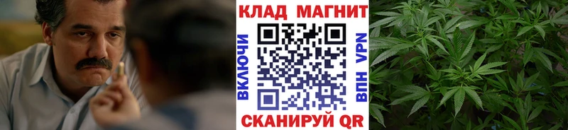 Какие есть наркотики Старица А ПВП Кокаин Мефедрон Марихуана ГАШ