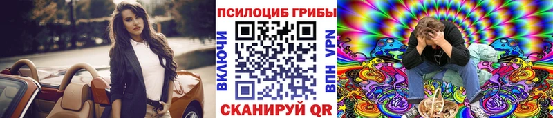 kraken ТОР Старица Галлюциногенные грибы Psilocybine cubensis где купить наркотик